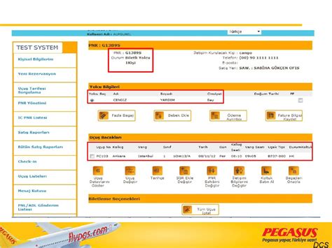 pegasus airline check in online